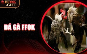 Đá Gà FFOK