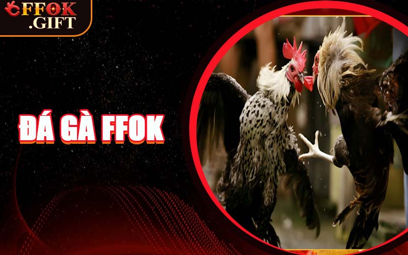 Đá Gà FFOK