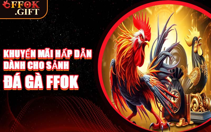 Khuyến Mãi Hấp Dẫn Dành Cho Sảnh Đá Gà FFOK