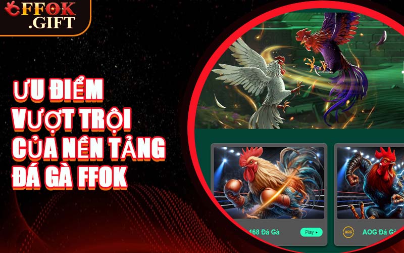 Ưu Điểm Vượt Trội Của Nền Tảng Đá Gà FFOK